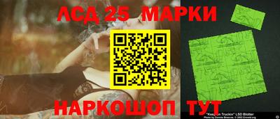 амф Гатчина