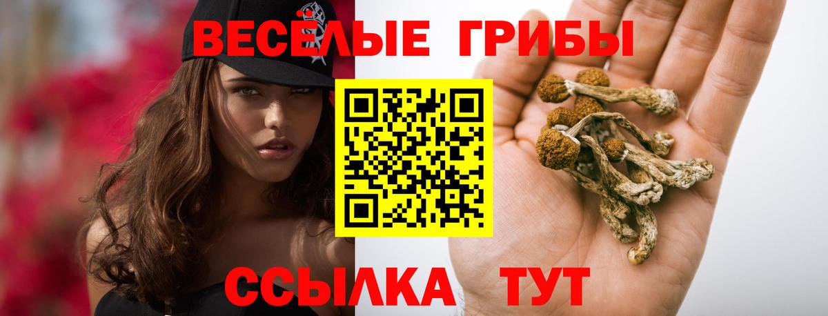 Галлюциногенные грибы прущие грибы  Вход с VPN  Бийск 