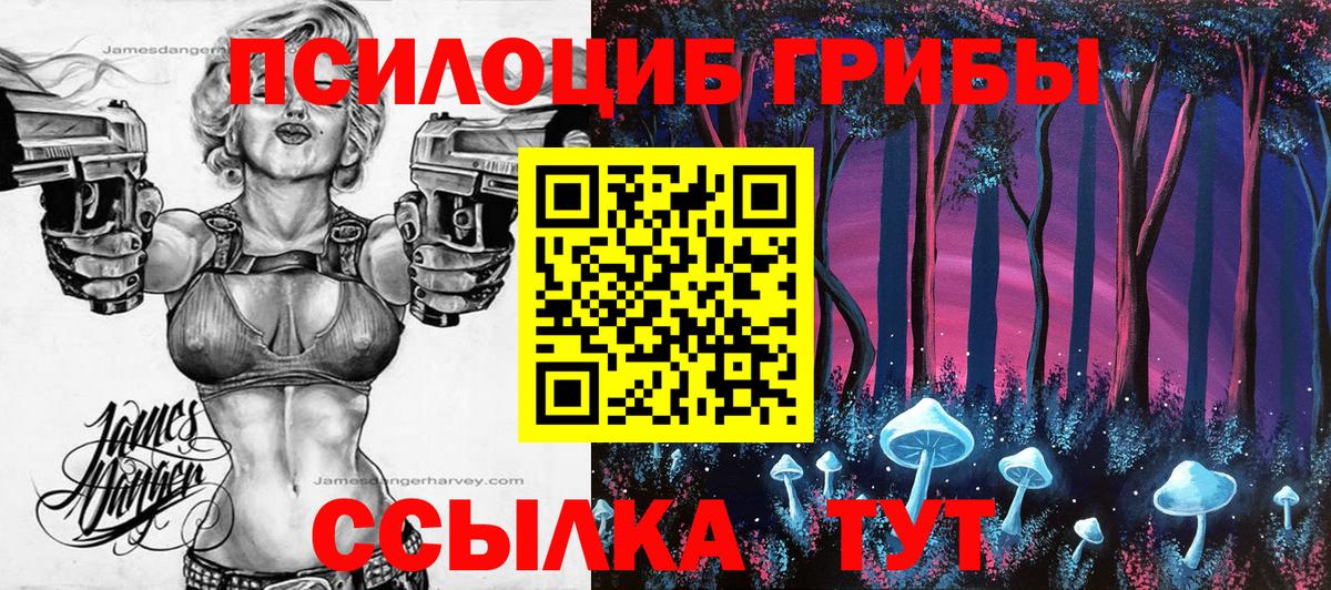 Галлюциногенные грибы Magic Shrooms Бийск